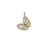 Mini Butterfly