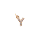 "Y" Big