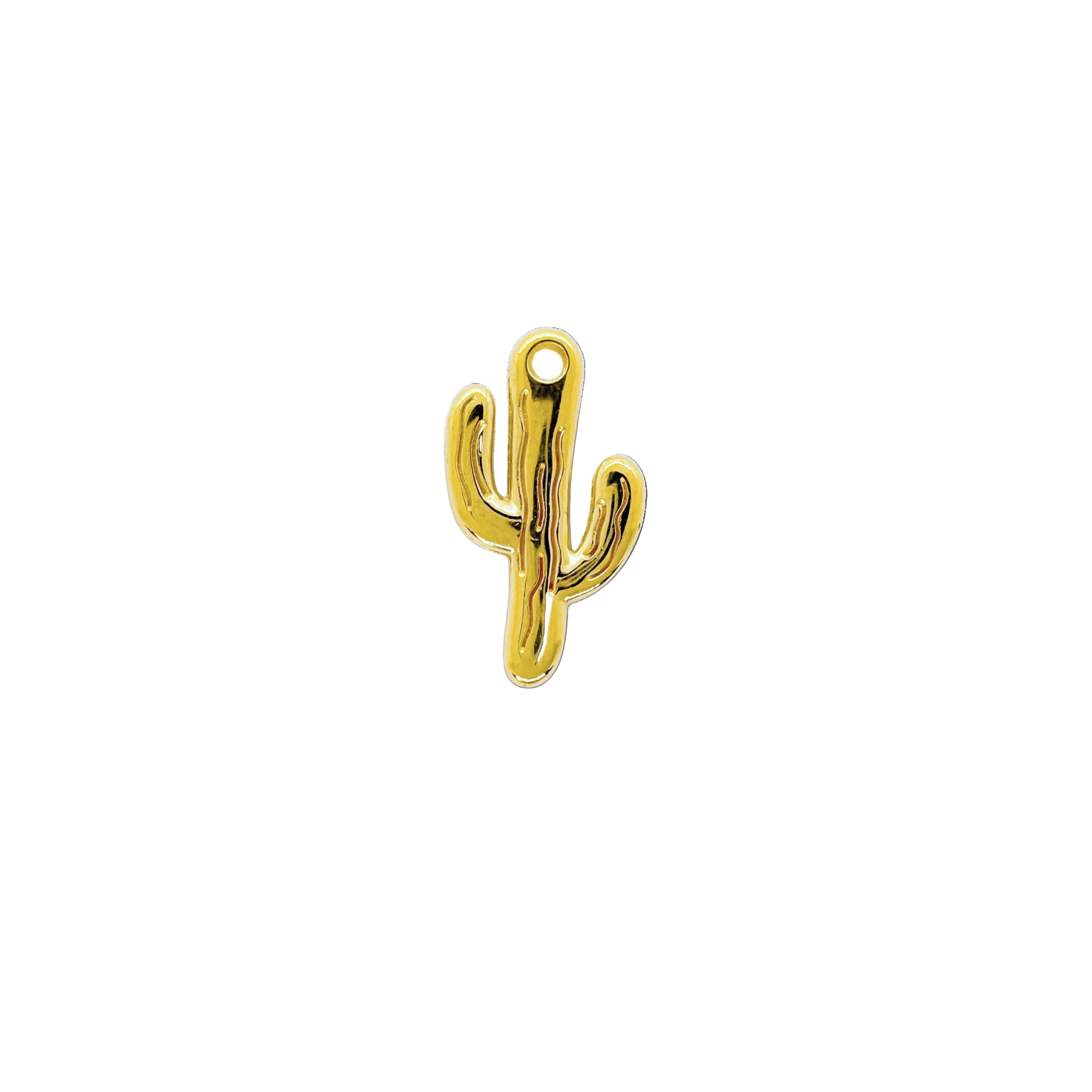 Charm Cactus
