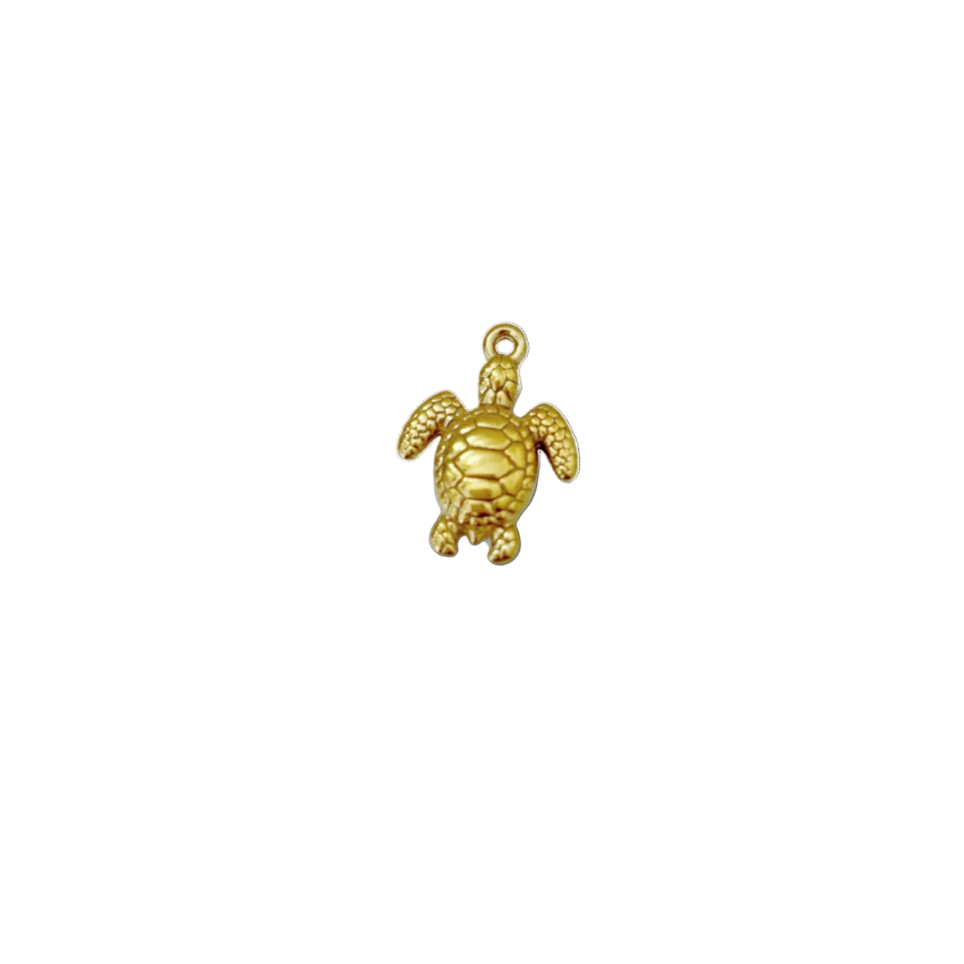 Charm Tortue