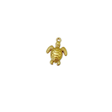 Charm Tortue