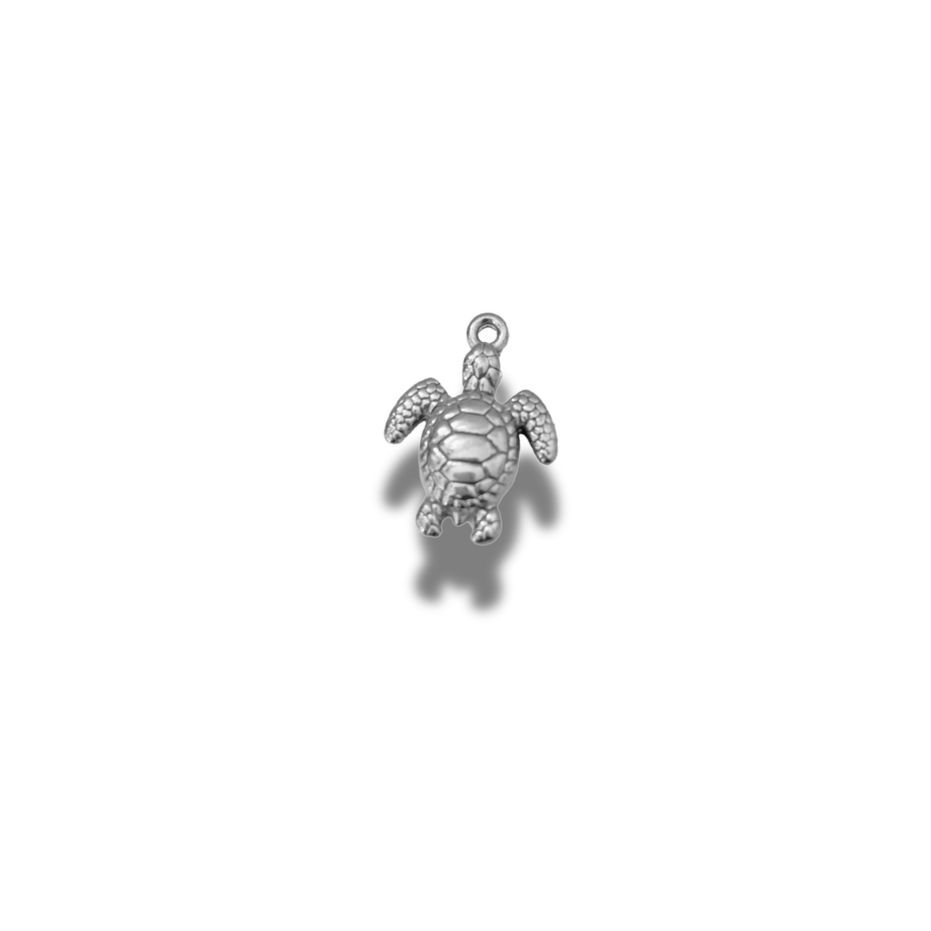 Charm Tortue
