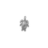 Charm Tortue