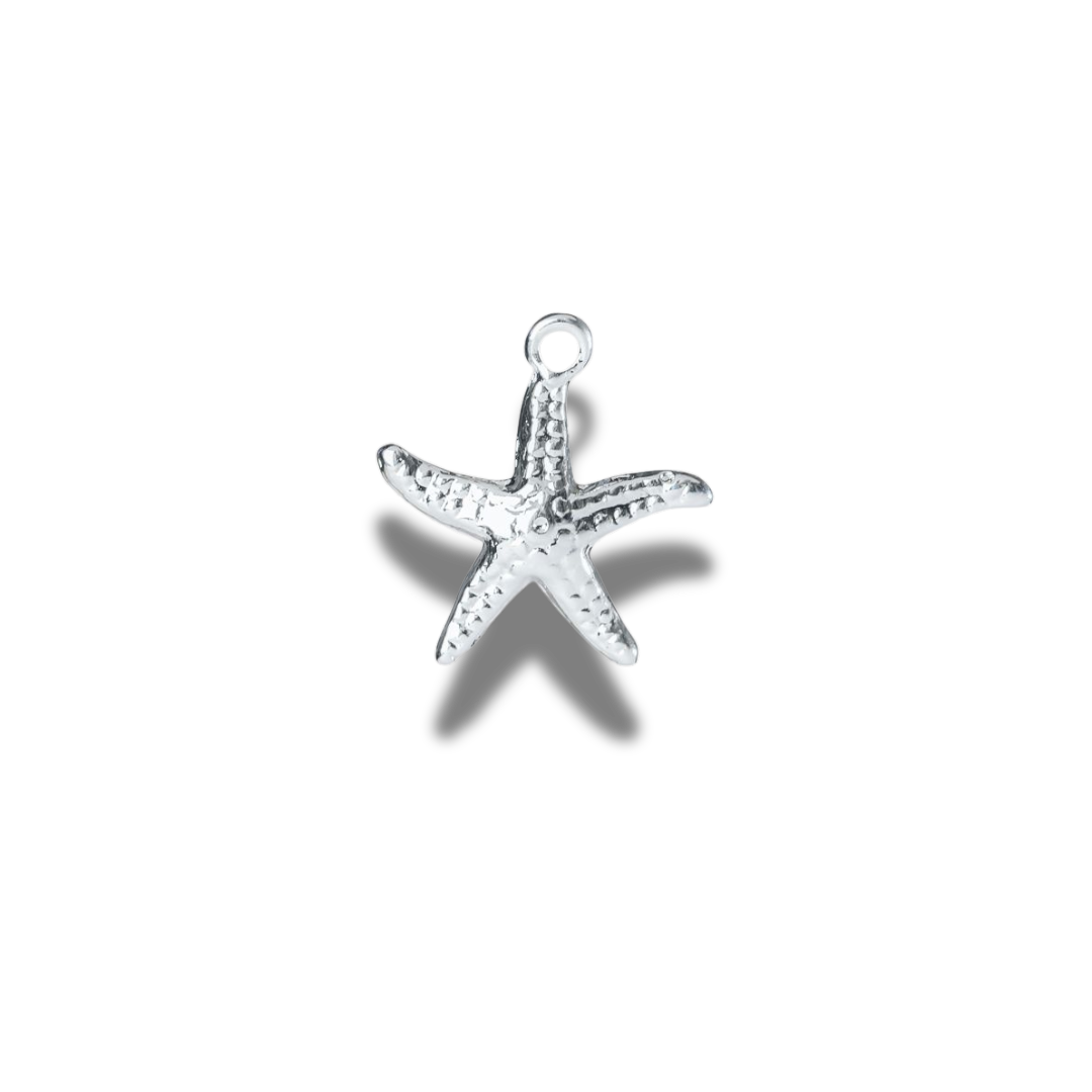 Charm étoile de mer