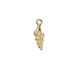 Charm shell